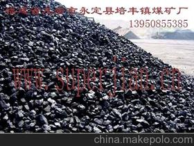 煤炭2000供应商,价格,煤炭2000批发市场 